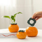 Vivid Orange Hydroponic Vase - Your Green Oasis