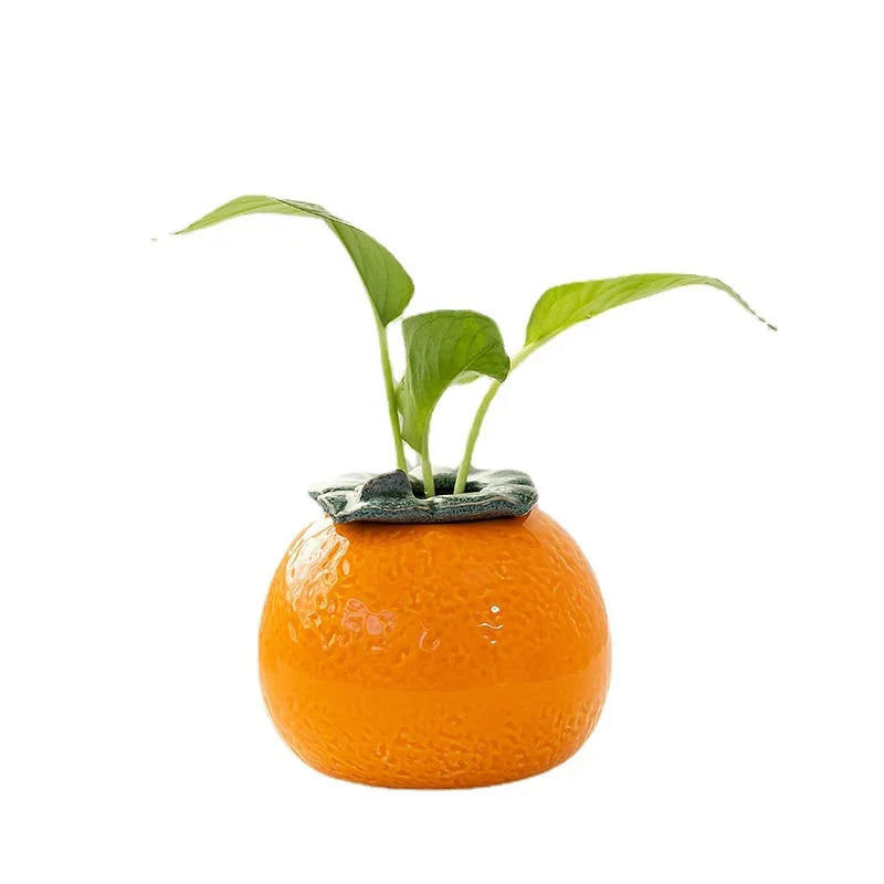 Vivid Orange Hydroponic Vase - Your Green Oasis