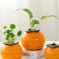 Vivid Orange Hydroponic Vase - Your Green Oasis